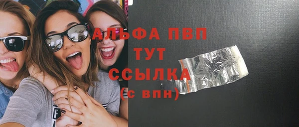 PSILOCYBIN Майский