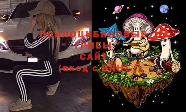 мет Магас