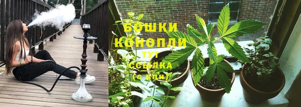PSILOCYBIN Майский