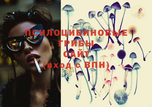 PSILOCYBIN Майский