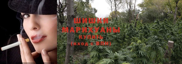 мет Магас