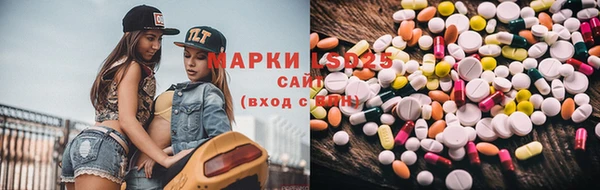 PSILOCYBIN Майский