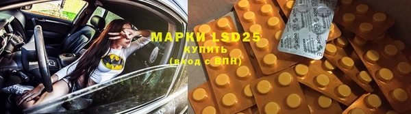 PSILOCYBIN Майский